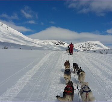 Husky Experience Week: Your personal winter dream © Huskycamp Gasa